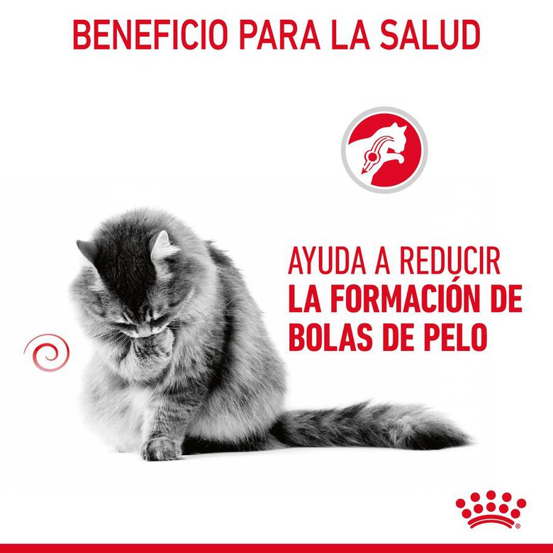 Royal Canin Intense Hairball pienso para gatos, , large image number null